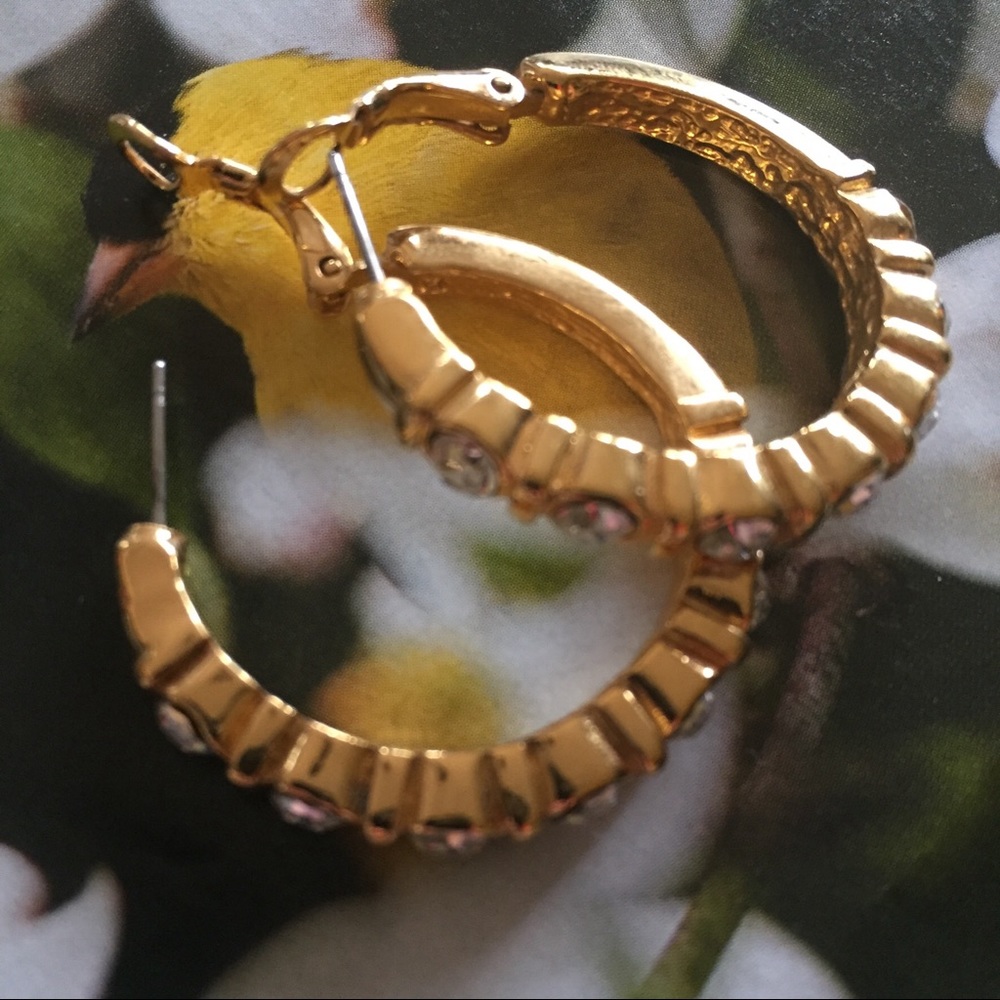 JS Scott Large Rhinestone Hoop Earrings - Picture 6 of 6